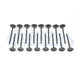 #dodgeneonsrt4oversizedvalves #chryslerptcruiseroversizevalves