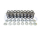 High Performance Valve Spring & Retainer Kit, 08-09 Caliber SRT-4
