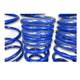 Mopar Performance Lowering Springs 03-08 PT Cruiser Turbo